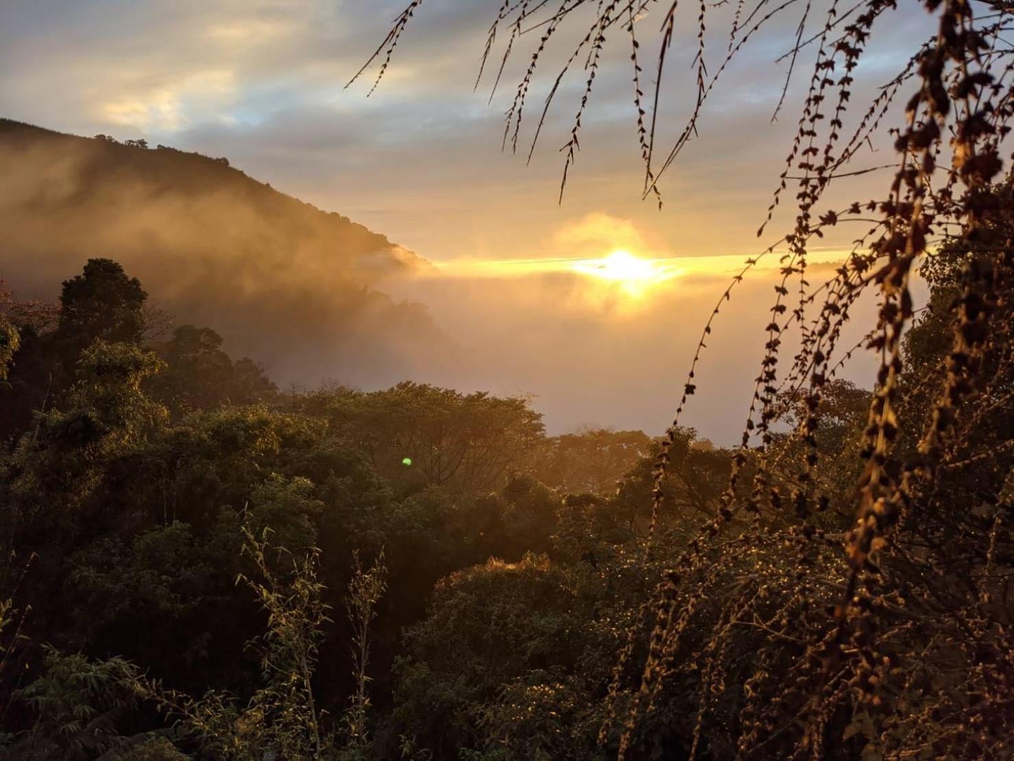 Vila Shitaoyuan Sanyi Exteriér fotografie